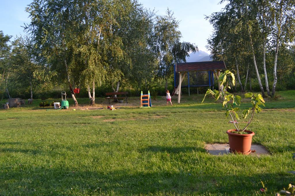 Guest house Pensiunea Royal Garden